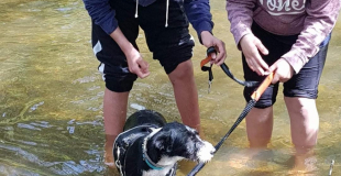 Cherche partage sorties ou activités avec pré-ados