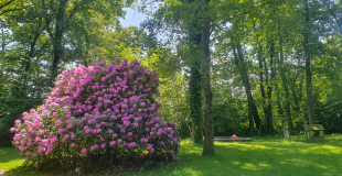 Propose location vacances près de Pau