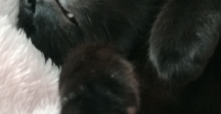 Cherche à créer colocation alentours de Bordeaux