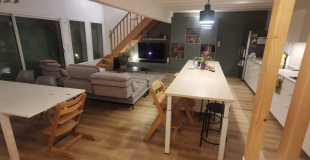 Propose colocation monoparentale maison (31)