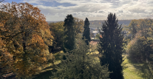 Propose coliving appartement à Vaucresson 