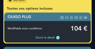 Cherche accompagnement SNCF Bordeaux-Lille AR 27 - 29 juillet 