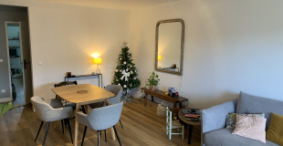 Propose loc. appartement Annecy sem. paires