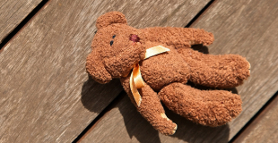 Questionnaire pour projet de localisation de doudou : étudiant·e·s ESTBB et ESDES Lyon