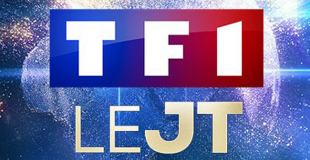 Parents solos cherchant à s'installer en colocation : TF1