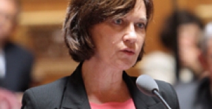 La loi famille ne sera pas votée le 28 mai 2014