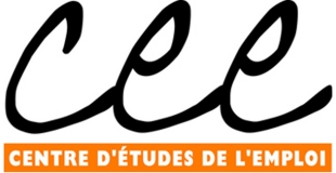 Les Familles Monoparentales en France : rapport du Centre d'Etudes de l'Emploi (CEE)