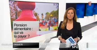 Pension alimentaire : qui va la payer ? sur France 2 le 23 janvier 2014