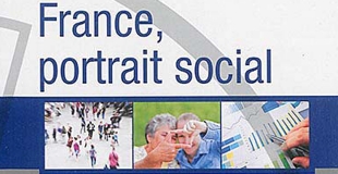 Portrait social 2014 de l'Insee : les familles monoparentales explosent