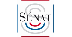 Rapport du Sénat : Familles monoparentales et familles recomposées, un défi pour la société français