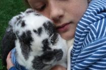 Quel animal de compagnie choisir pour un enfant ?