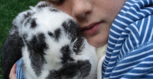 Quel animal de compagnie choisir pour un enfant ?