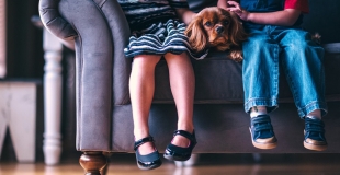 Qui garde l'animal de compagnie en cas de divorce ?