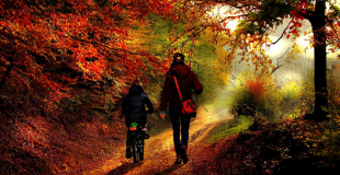 Parent solo, quelles assurances faut-il privilégier pour soi et ses enfants ?	