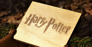 A partir de quel âge regarder Harry Potter ?