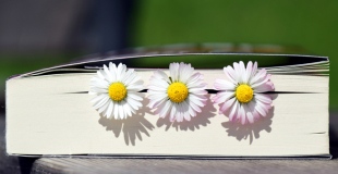 Des idées de lecture sur les relations femmes / hommes