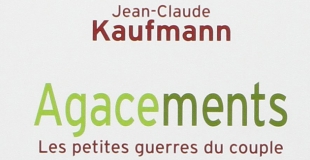 Agacements : Les petites guerres du couple de Jean-Claude KAUFMANN
