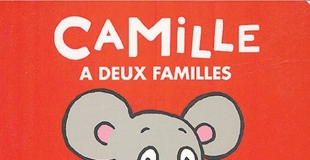 Camille a deux familles de Ophélie TEXIER