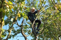 Les dangers du jardin pour les enfants