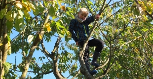 Les dangers du jardin pour les enfants