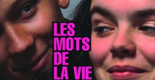 Dico ado : Les Mots de la vie de Catherine Dolto-Tolitch