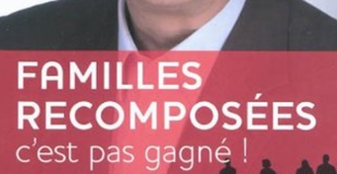Familles recomposées, c'est pas gagné ! de Lionel CHAMOULAUD