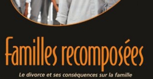 Familles recomposées : Le divorce et ses conséquences sur la famille de Patrick LELONG