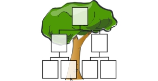Réforme de la filiation à partir du 1er juillet 2006