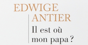 Il est où mon papa ? L'enfant, le couple et la séparation de Edwige Antier