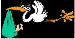 Association Les Cigognes, entraide entre mères célibataires