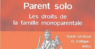 Parent solo : Les droits de la famille monoparentale de Anne Watrelot-Lebas