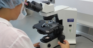 Test de paternité : un procédé très encadré