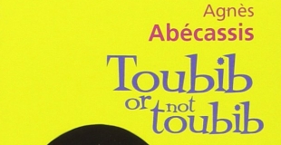 Toubib or not toubib d'Agnès ABÉCASSIS