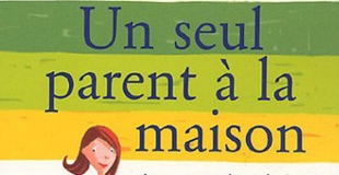 Un seul parent à la maison : Assurer au jour le jour de Jocelyne Dahan et Anne Lamy